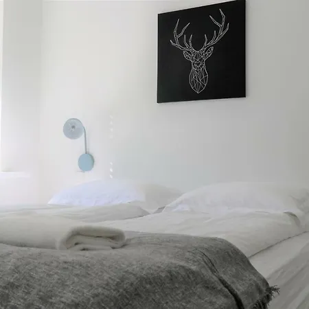 Odinn Reykjavik Skolavordustigur Apartments Eksteriør billede